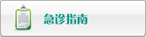 操女人AV在线